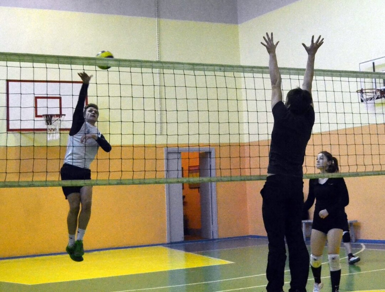 OZNipi6D9lM